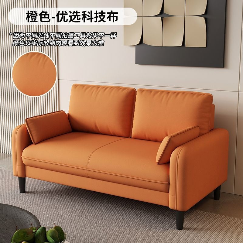 Small apartment sofa double three-person accessible luxury apartment rental room rest area reception clothing store b&b cat scratching leather wood