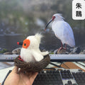 Red-crowned crane