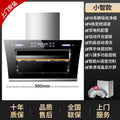 90cm voice-controlled smart model 48 series dual motor + automatic opening/closing + ai voice control + on-site installation