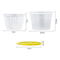 Onion, ginger, and garlic crisper food grade refrigerator storage crisper kitchen chopped green onion preparation packaging pp crisper box for home
