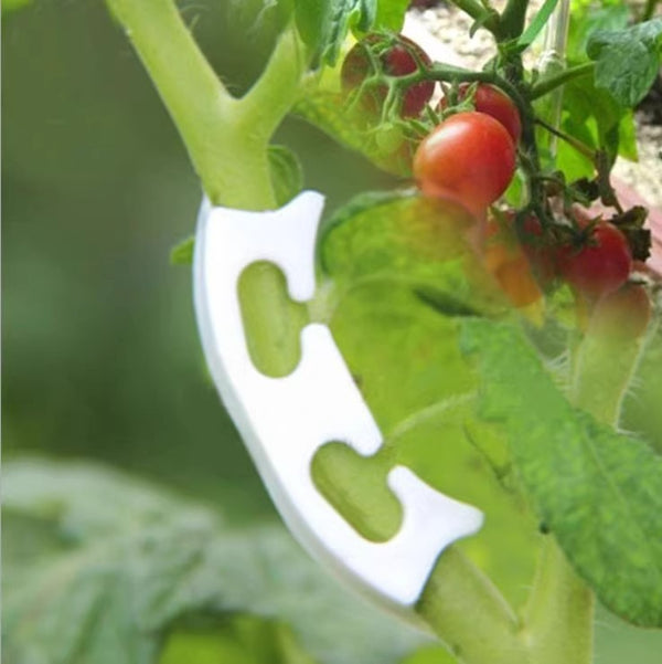 Tomato fruit handle fixing clip, fruit seedling reinforcement clip anti-bending, watermelon seedling hanging clip hanging vine clip binding vine clip