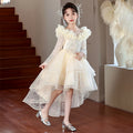 Girls' formal dresses with train, new  princess style, mesh, chic flower girl wedding dress, swallowtail skirt, wholesale ready stock, spring/autumn collection