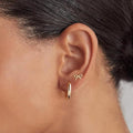 European and american electroplated brass gold-plated stud earrings - elegant, versatile butterfly hoop earrings - wholesale minimalist/ins style earrings