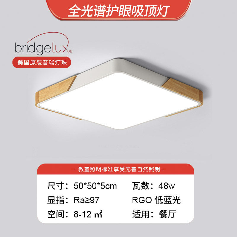 Living room light 2025 new Nordic led ceiling light simple modern creative room bedroom light Zhongshan lighting