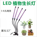 Led grow light with clip, timer, full spectrum sunlight simulation, for succulents, flowers, herbs, seedlings, and supplemental lighting