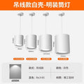 White shell with hanging wire - surface mounted super bright downlight - white light 6000k