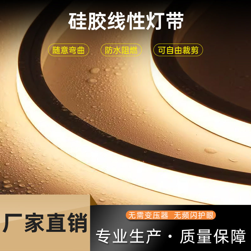 Cross-border direct supply high-voltage light strip 1010 silicone 24V/12V/220V flexible outdoor lighting engineering linear light strip