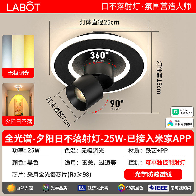 Aisle lights, corridor lights, surface-mounted projection, never-sunset atmosphere lights, entrance hall, high-end balcony led ceiling lights