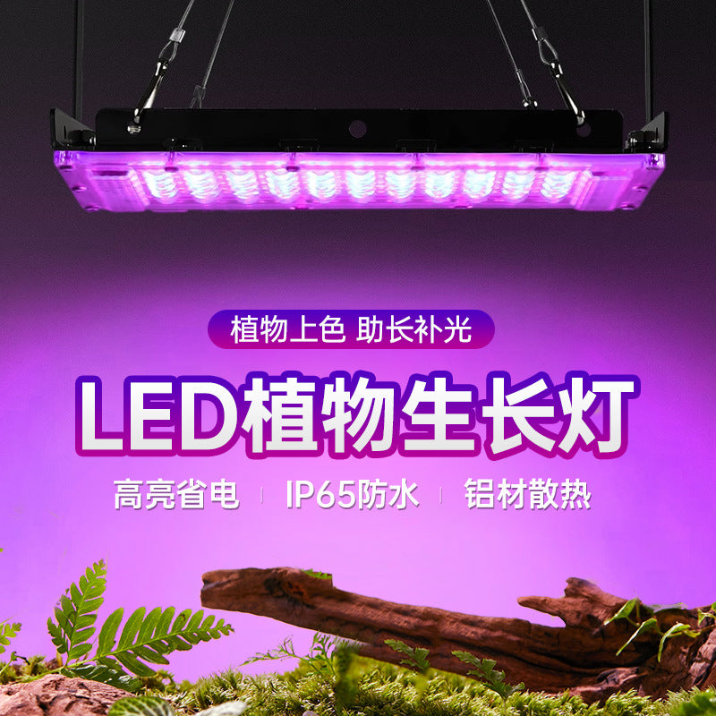 LED new plant lighting UV powder light LED fluorescent stage ambient light UV purple curing lamp