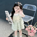 Girls' summer fashionable dress, new baby bow princess dress, wholesale from export factory