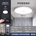 Led ceiling light - motion sensor radar light for stairwells, hallways, entryways, and balconies