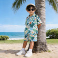 Boys' summer beach outfit set - stylish kids' short-sleeve and pants casual two-piece set - wholesale for cross-border e-commerce