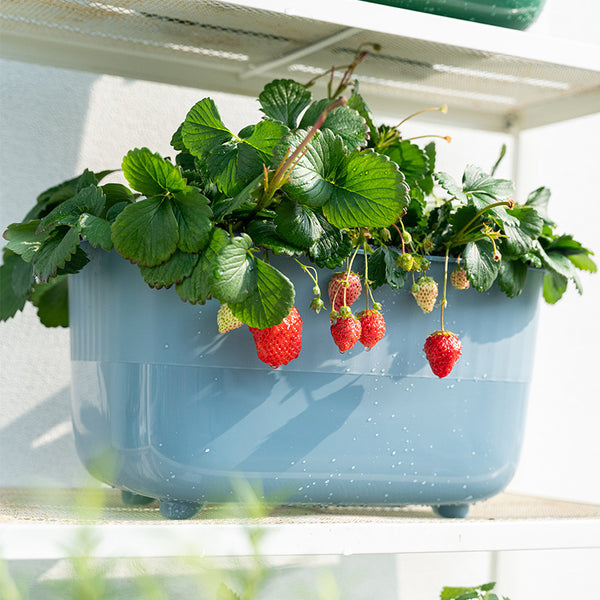 Balcony vegetable lazy vegetable planting pot vegetable box production and wholesale plastic flower pot rectangular planting box new flower slot