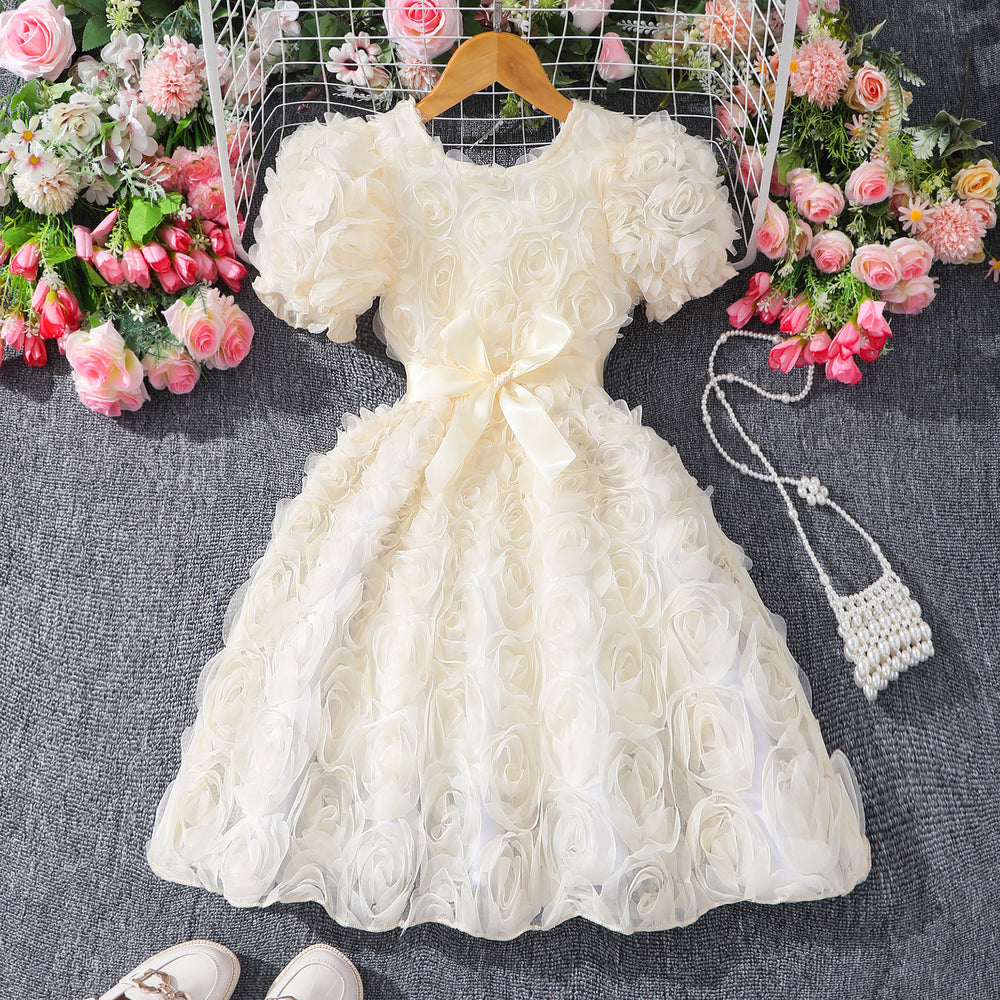 Girls' (toddler) dress, 3d rose embellished elegant party dress