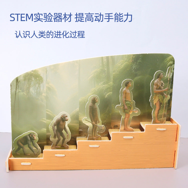 Scientific small production Human evolution display Children's science and education Educational puzzle Assembling toys DIY handmade material bag accessories