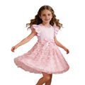 summer korean style girls' short-sleeve lace floral dress - trendy korean kids' formal dress