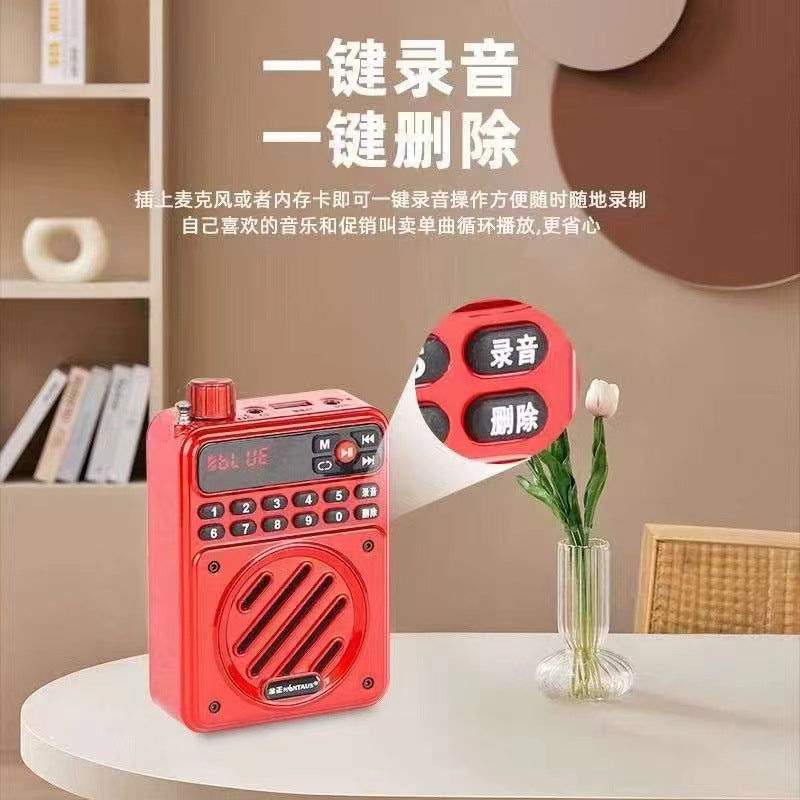 Jinzheng 819 new arrival pocket elderly radio portable card bluetooth amplifier recording delete digital song request