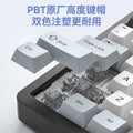 Viewsonic kc75 custom mechanical keyboard - gasket structure, full key hot-swappable, wireless tri-mode