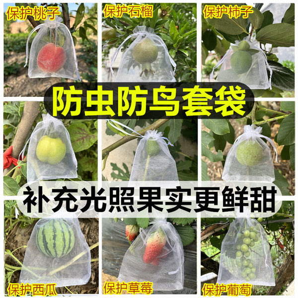 Fruit tree bag insect-proof and bird-proof bag strawberry fig pomegranate grape tomato special gauze cover for fruit protection