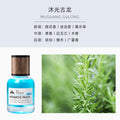 Car perfume car ornaments for home perfume bathroom fireless aromatherapy long-lasting fragrance air freshener