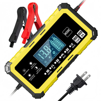 12v15a/24v8a pulse charger 14.6v15a lithium iron phosphate motorcycle car battery charger