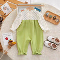 Baby girl's autumn outfit: polka dot & 3d floral long-sleeve romper - newborn infant clothes, super cute new style, trendy onesie