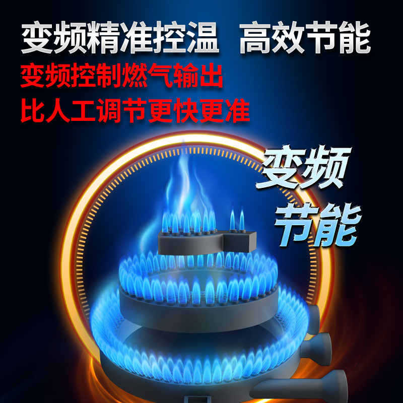Jinheng intelligent gas roast duck oven commercial double layer stainless steel automatic roast goose roast chicken roast duck roast pig beef and sheep hanging oven