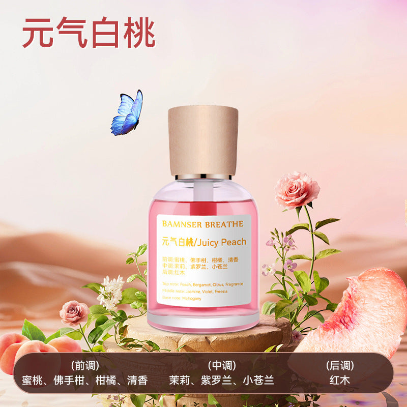 Car aromatherapy - safe for babies & children - car perfume diffuser - fragrance air freshener - car accessories & decorations - long-lasting light scent