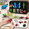 Kids' realistic insect model 4d assembly educational animal toy - mantis, fly, bug, butterfly - cognitive science educational building blocks