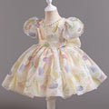 Kids princess dress baby girl first birthday dress summer dress flower girl wedding dress dress  clothing supply tutu skirt