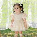 Girls' new birthday party & baby shower lace dress - baby's first birthday performance bow dress - cross-border wholesale