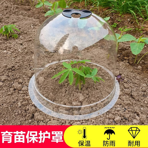 Plastic PVC transparent seedling cover Greenhouse horticulture vegetable planting thermal insulation seedling cover Seedling cover manufacturers supply