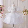 Girls' dresses flower girl wedding dresses tulle skirts children's day performance costumes hostess piano recital mid-length kids' princess dresses
