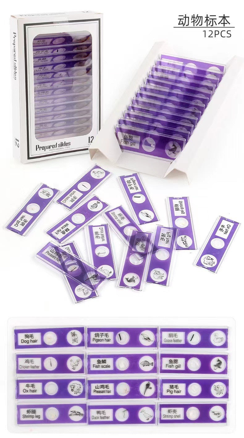 Source kids microscope lens specimen animal plant insect biological slice scientific small production experiment play puzzle