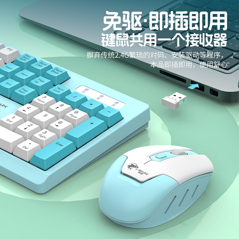 Lingsha t906 wireless keyboard and mouse combo - colorful 104-key - universal for desktop and laptop - stylish design