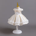 European and american new style airplane sleeve children's formal dress lace princess dress baby girl first birthday dress flower girl
