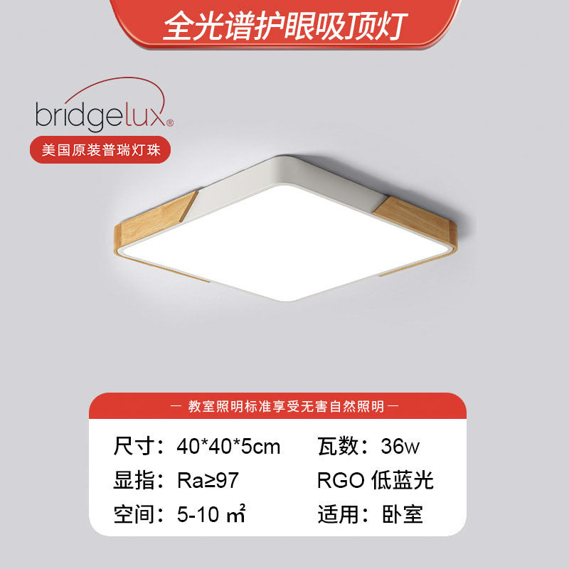 Living room light 2025 new Nordic led ceiling light simple modern creative room bedroom light Zhongshan lighting