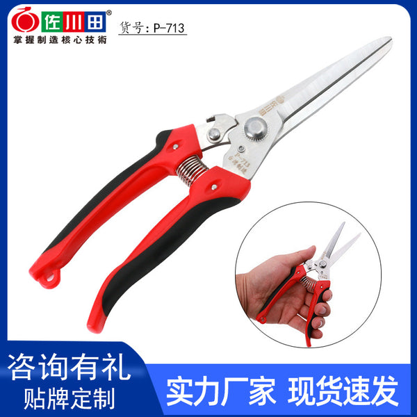 Taiwan Sakawada 713 extended fruit picking dragon fruit picking scissors stainless steel fruit picking scissors household labor-saving bonsai