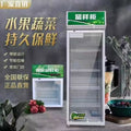 Food sample storage cabinet - refrigerated display case for school cafeterias, kindergartens, and restaurants - ideal for storing and displaying food samples, fruits, and vegetables