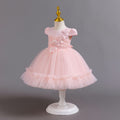 Ready-to-ship new baby girl dress - tulle flower cake princess dress - first birthday dress - baby dress