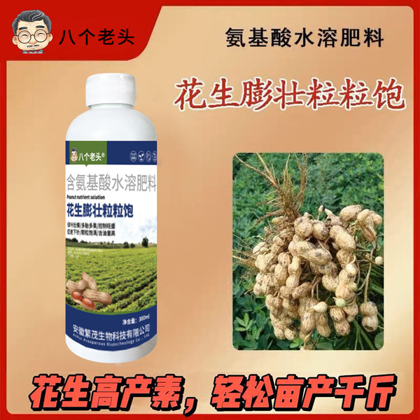 The manufacturer supplies eight old man peanuts with swollen grains and full peanuts, special fertilizer for increasing production, promoting needles, flowering and more fruit setting