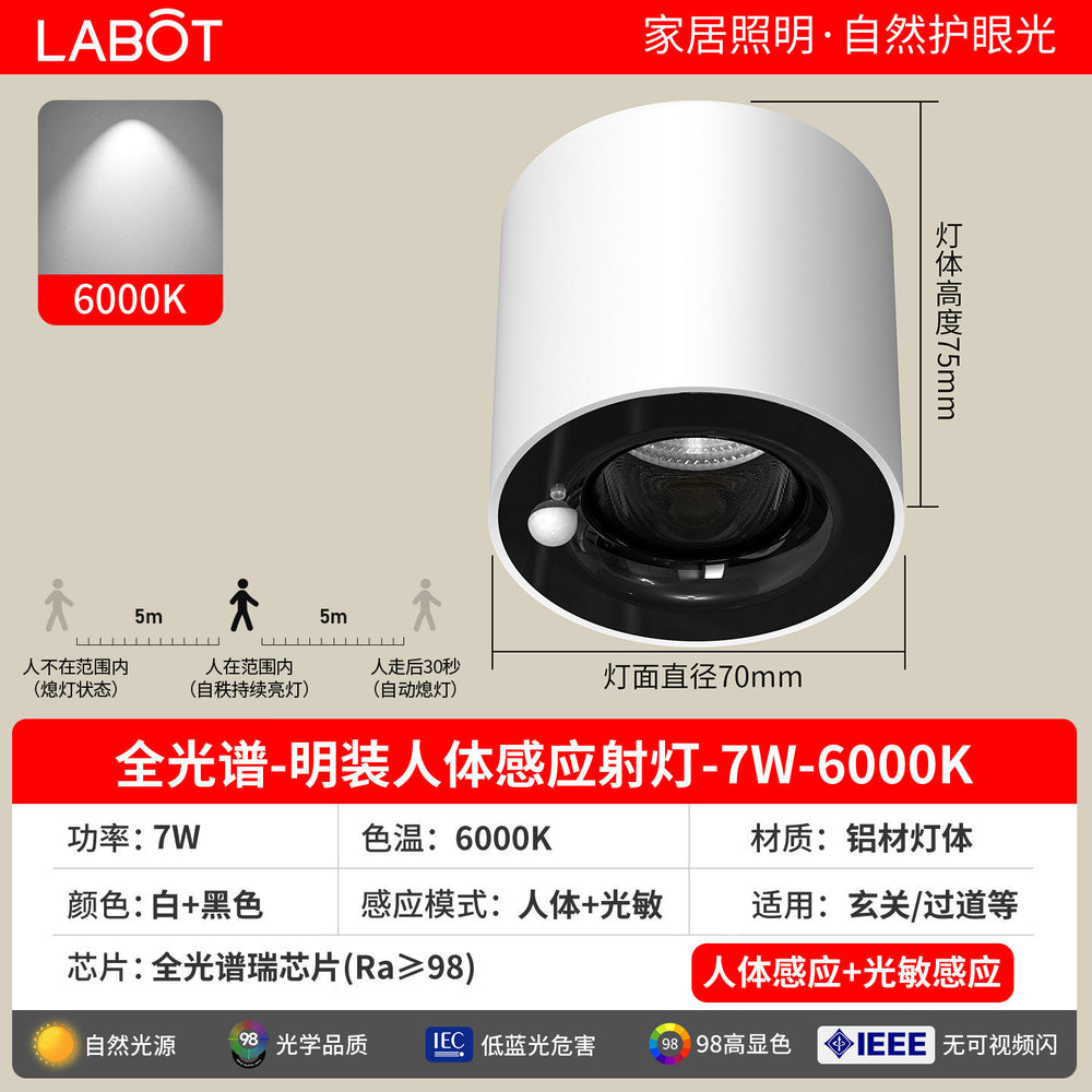 Surface-mounted human body sensor light for home corridor aisle light entrance entrance light corridor downlight infrared ceiling spotlight