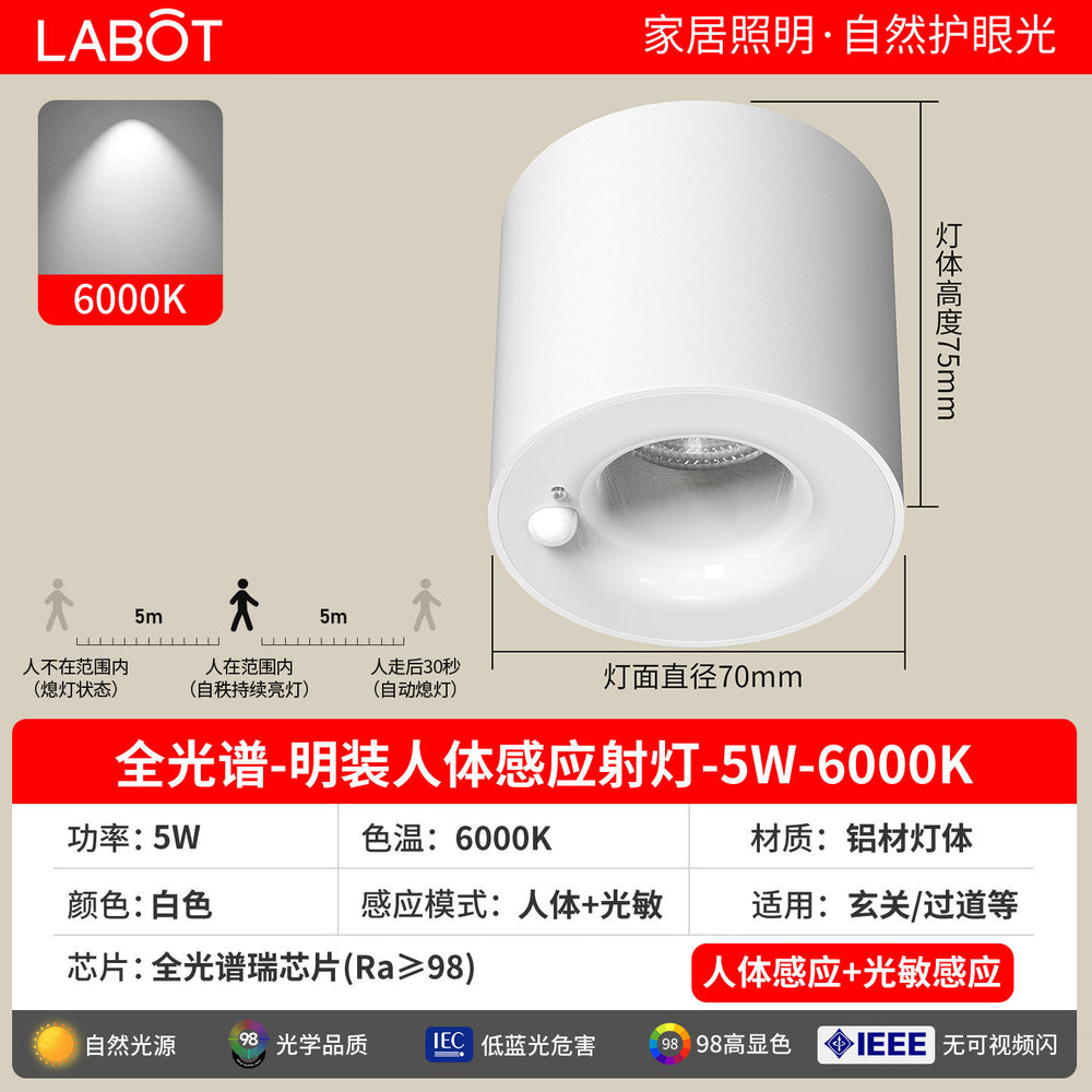 Surface-mounted human body sensor light for home corridor aisle light entrance entrance light corridor downlight infrared ceiling spotlight