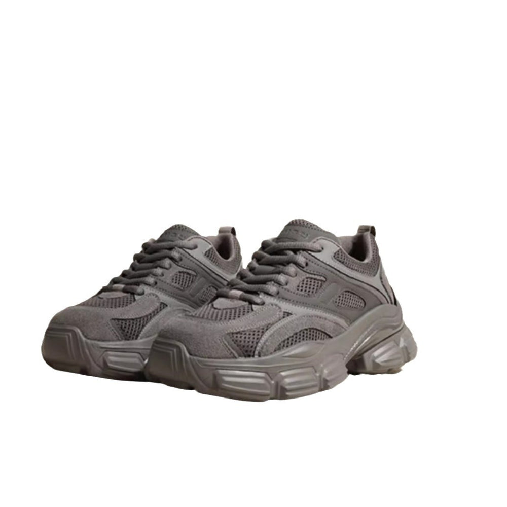 Dad shoes for women, 2026 new spring/summer collection, lightweight breathable mesh, chunky platform, height-increasing sneakers, trendy street style, gray