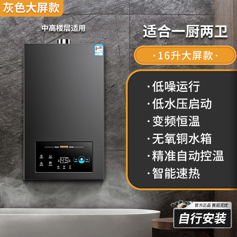 Wholesale royalstar natural gas gas water heater for home13l liquefied gas coal gas forced exhaust gas model 16 liters