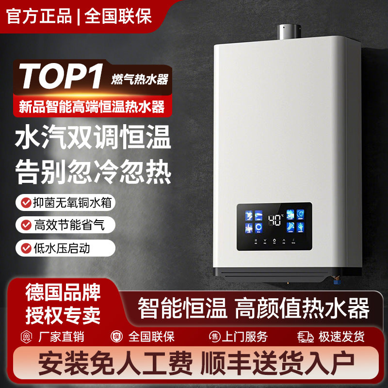 German brand premium gas water heater, inverter constant temperature, natural gas/lpg, 16l forced flue constant temperature model