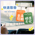 Car air freshener scent diffuser - net hanging car perfume for men and women - long-lasting light fragrance, odor eliminator