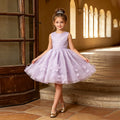 European and american style new girls' dress - lace mesh tutu skirt with bow neckline - princess style - direct from manufacturer - in stock