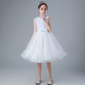 Export toddler kids dress sequinlace princess dress baby girl birthday dressbaby dress