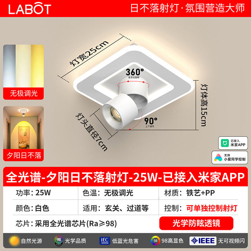 Aisle lights, corridor lights, surface-mounted projection, never-sunset atmosphere lights, entrance hall, high-end balcony led ceiling lights
